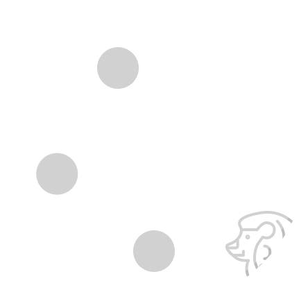 Lion Circle
